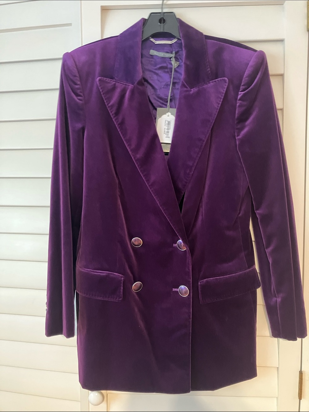 Alberta Ferretti Deep Purple Velvet Double-Breasted Blazer